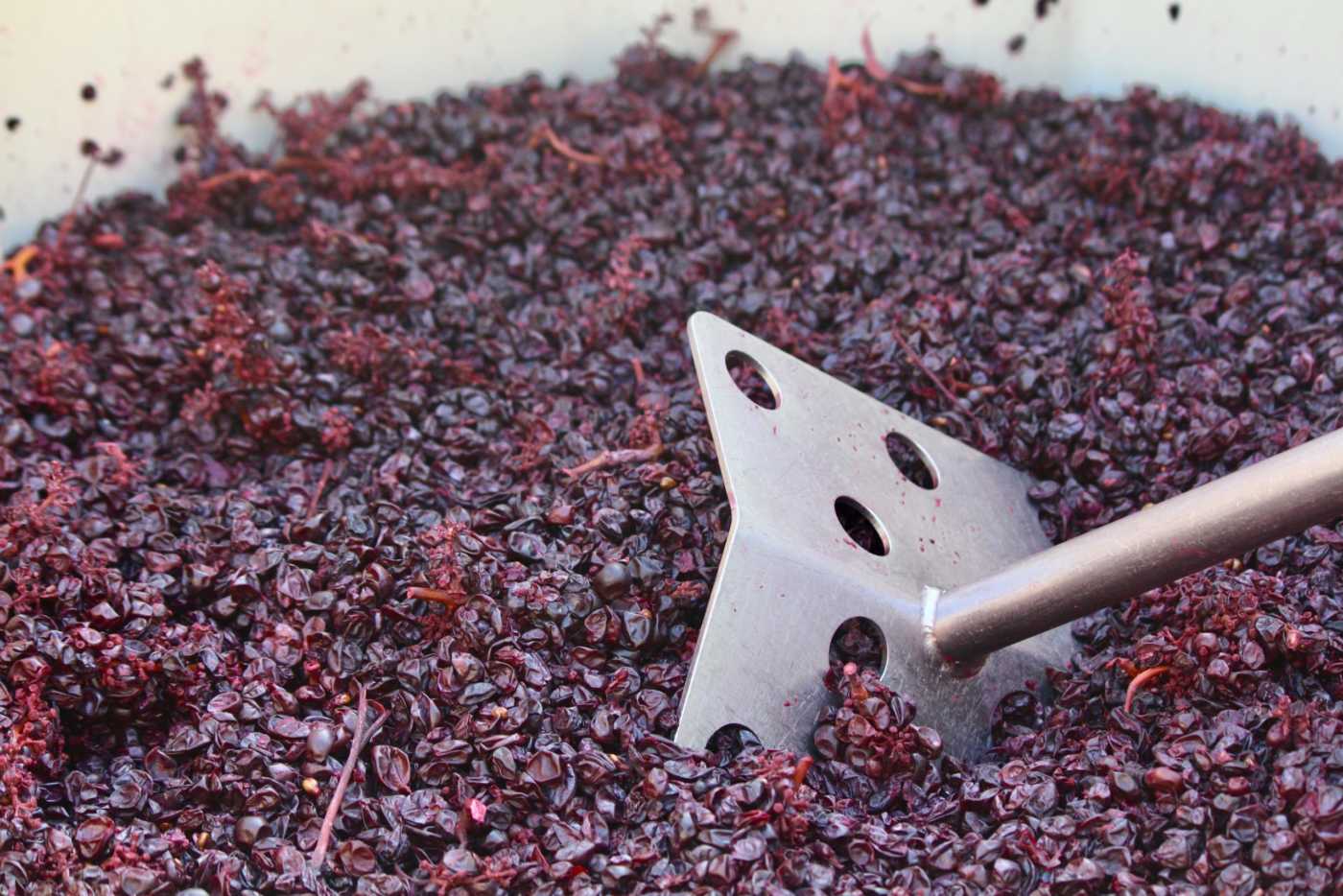 Pushing down crushed grapes